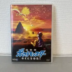 劇場版ポケットモンスター キミにきめた!('17ピカチュウプロジェクト)
