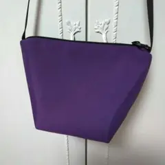 【極美品】エルベシャプリエ ミニポシェット ショルダー 2885N パープル