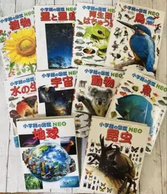 B neo図鑑　動く図鑑move びっくりどらえもん　図鑑のみ　7冊 B neo図鑑 動く図鑑move びっくりどらえもん 図鑑のみ 7冊