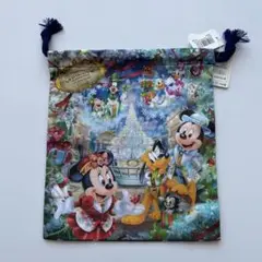 【希少！】 新品未使用。ディズニーシー2016クリスマスウィッシュ巾着