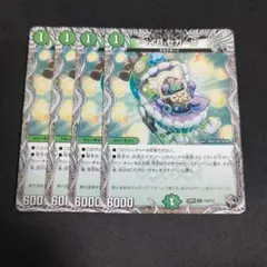 ベイビーセガーレ　4枚