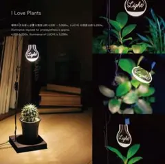 ルーチェ　LEDライト　LUCHE GROW LIGHT