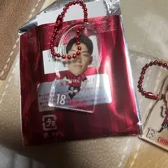 鹿島アントラーズ アクリルフィギュアチェーン