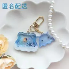171　メンダコ　海　アクアリウム　２点セット