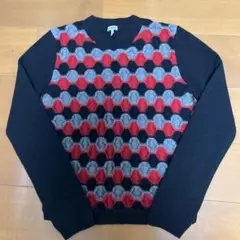 ロエベ ニット