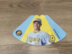 Item thumbnail for item 3905cc6c-042e-44f9-be85-087198deffd5