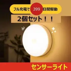 センサーライト 2個セット