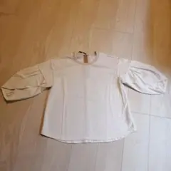 カットソー　七分袖