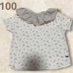 Item thumbnail for item 54ea79ed-fa29-4aa3-8bbd-057a1bd952a4