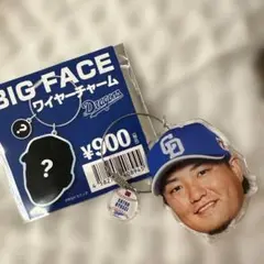 65 佐藤　BIG FACE ワイヤーチャーム