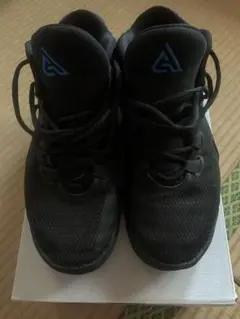 hm13様専用 ナイキ ズームフリーク1 NIKE ZOOM FREAK1