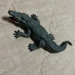 ワニ、おもちゃ