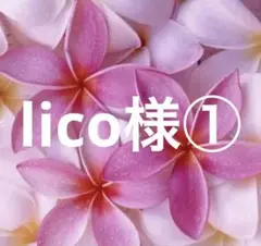 lico様①1m