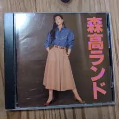 森高千里 ランド