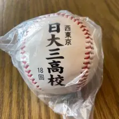 日大三高 高校野球 記念ボール