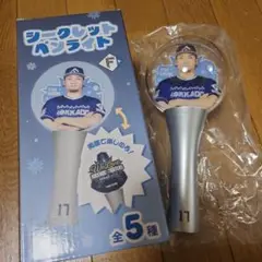 日本ハムファイターズ ♯17伊藤大海シークレットペンライト【大】応援グッズ