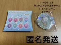 サンリオキャラクターズ　シークレットカスタムアクリルチャーム　シェルシリーズ