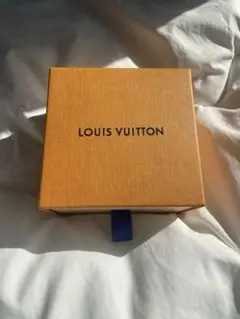 ルイヴィトン LV vネックレス シルバー