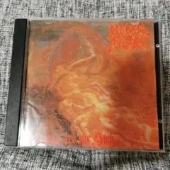 MORBID ANGEL blessed are the sick　国内盤