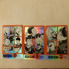 ハイキュー　購入特典　キャラクターカード　烏野高校