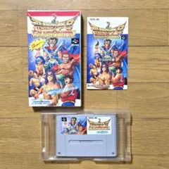 ゴールデンファイター 飛龍の拳ｓ スーパーファミコン
