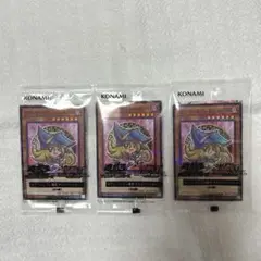 遊戯王　ブラックマジシャンガール　ハイチュウ　3枚
