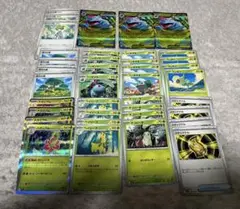 メガニウム　メガフシギバナ　進化ライン　活力の森　計38枚セット　ポケモンカード