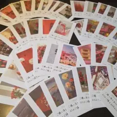 手書きサンキューカードサンクスカード【フォトレッド】50枚