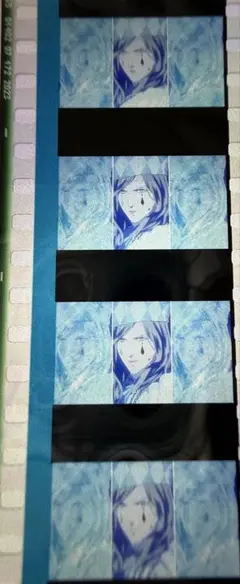 タブナイ コマフィルム カルナイ カミュ