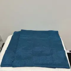 ２枚組クッションカバー ポリエステル100% ブルーサイズ…約44×44cm