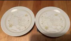 非売品　クレイジーラクーン　DMMスクラッチ　豆皿　　zeder