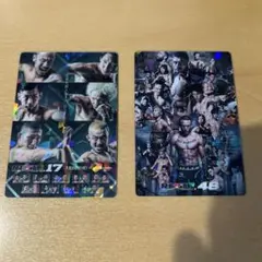 RIZINポテトスティック RIZIN.17 RIZIN.48 ウエハース付き