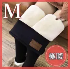 レギンス スキニーパンツ 美脚 裏起毛 着圧 タイツ 厚手 防寒 M