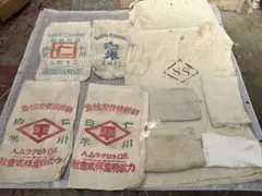 Item thumbnail for item 3cc06f36-4af2-4c5e-a643-adb2d82da5ac