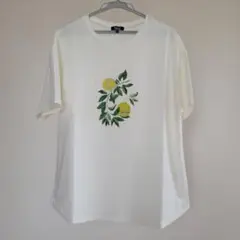 PART2 BY JUNKO SHIMADA　半袖Tシャツ　レディース XL
