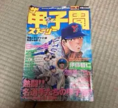 ザ・甲子園ストーリー