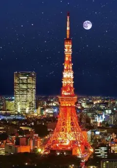 M6 東京タワー/東京/日本の風景/アートパネル