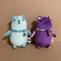 アライヌセット