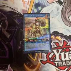 遊戯王　ラッシュデュエル　なほいとをかしひなひめ　シークレット