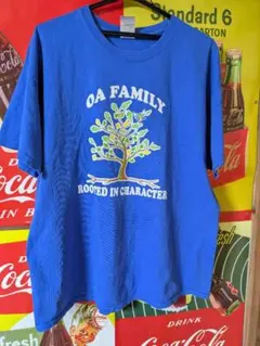 ☆希少☆GILDAN ブルーTシャツ