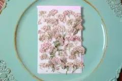 押し花　薄いピンク　ライスフラワー