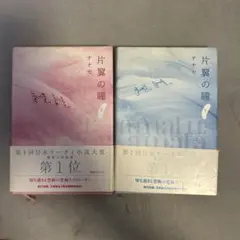 片翼の瞳 上下巻 セット