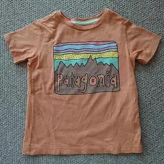 Patagonia Tシャツ 2T
