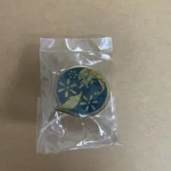 ポケモン　ご当地ピンズコレクション　 リザードン