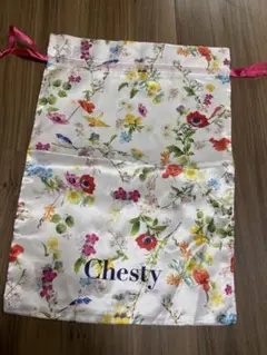 チェスティ♡巾着　アルコールスプレー付き　タイムセール❣️