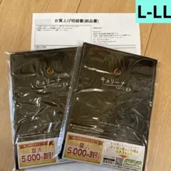 キュリーナEX ヒップアップガードル　骨盤ガードル　L-LL 2枚セット