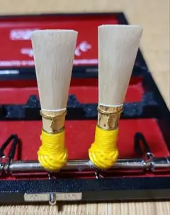 Item thumbnail for item 618294ed-13a5-4651-bb44-aa8dd38b782e