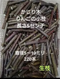 Item thumbnail for item 4660bfab-771d-4d02-b3a4-613dda8eb869