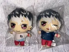 アイナナ きらどるぬいぐるみ 百