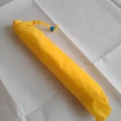 Item thumbnail for item 27e21f59-7649-400d-b263-f62969153288